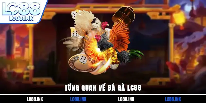 Đá Gà LC88 - Tận Hưởng Các Trận Đấu Chiến Kê Đẳng Cấp 2 Tổng quan về đá gà LC88